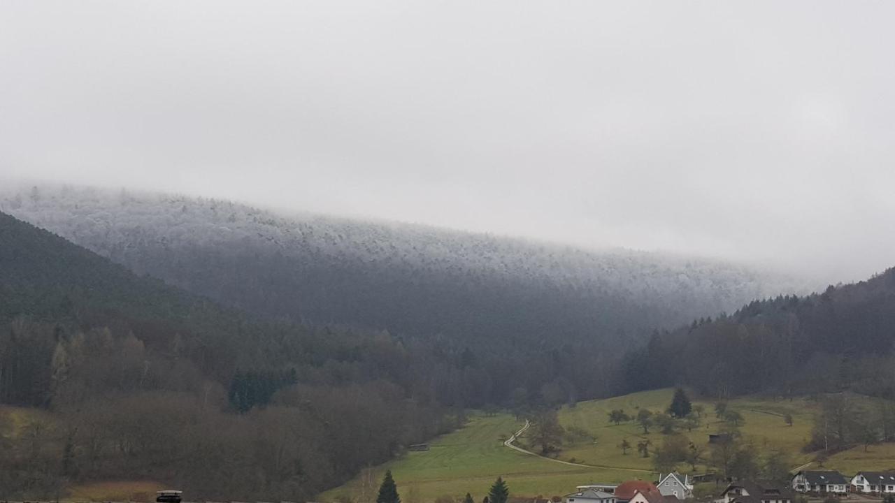 Ferienwohnung Sonnenhang Rudenau Bagian luar foto